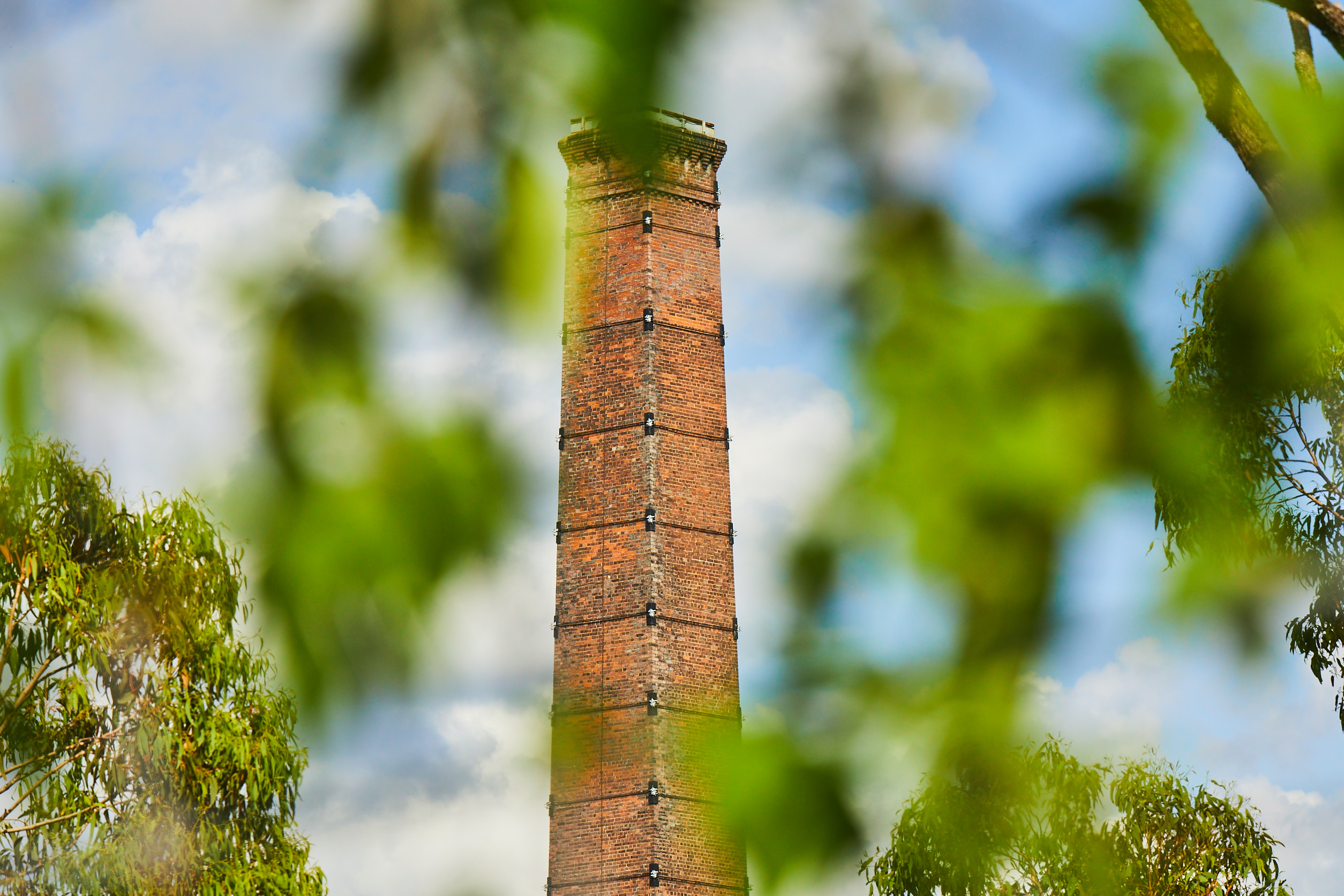 Green leaves in front of the iconic Brisbane Brickworks chimney.